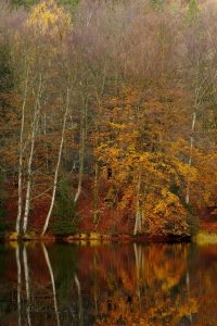 Saker att göra i Ullared